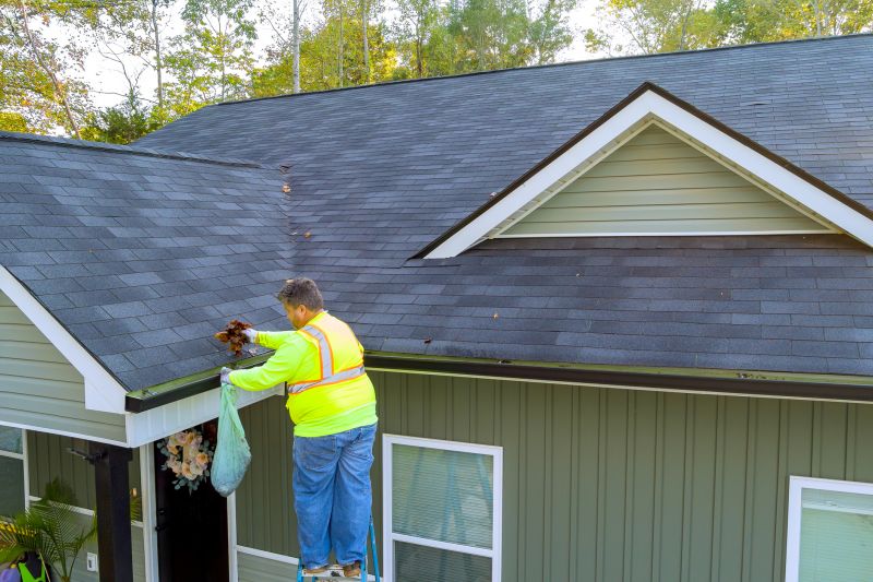 Gutter Maintenance Firms
