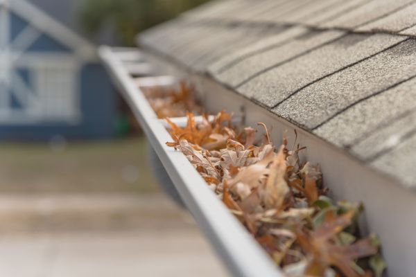 Leaf Barrier Installation in Brandon